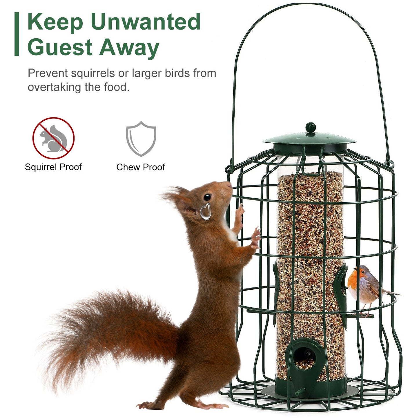 Aura Squirrel-Proof Bird Feeder