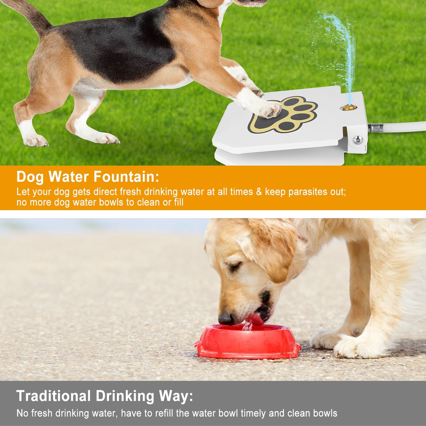 Paw Pedal Pet Water Fountain