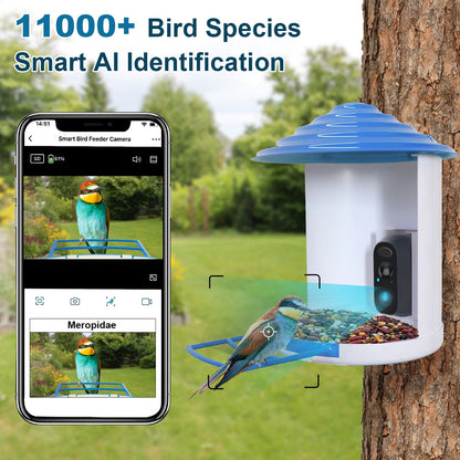 Aura Smart Bird Feeder