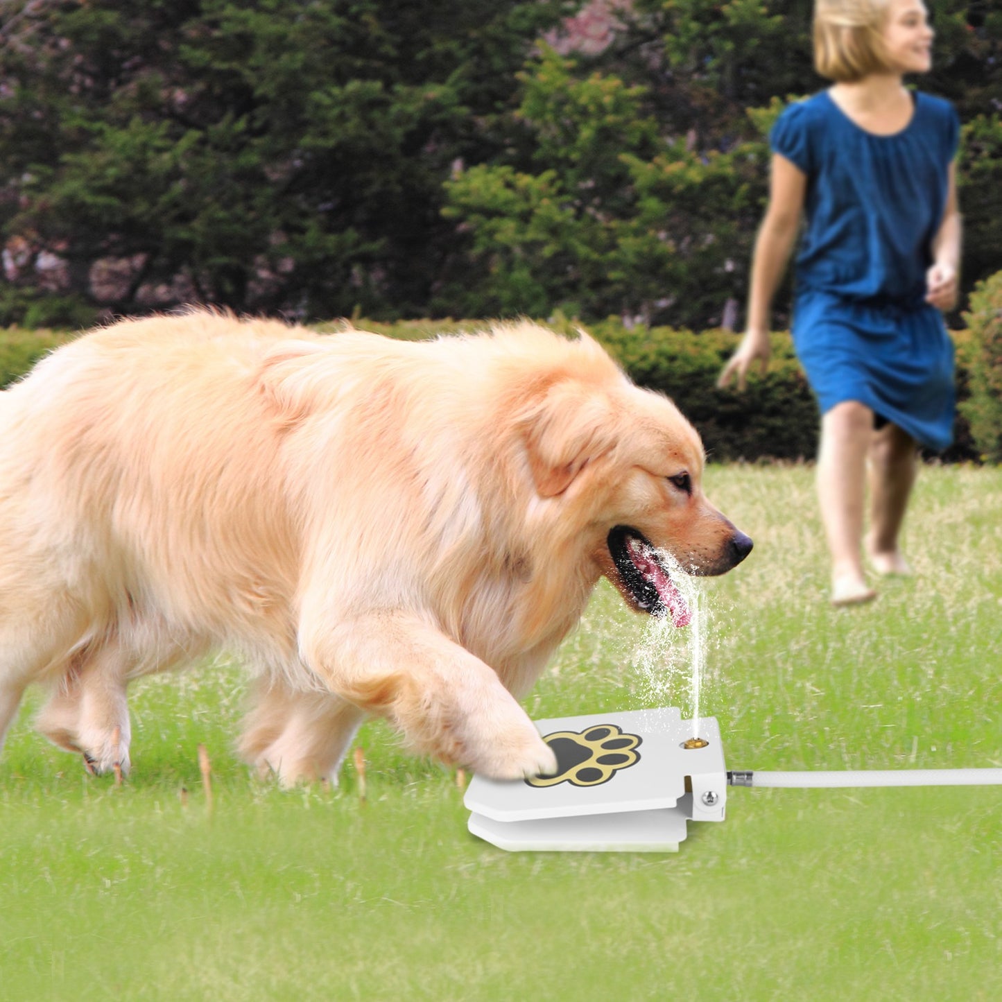Paw Pedal Pet Water Fountain