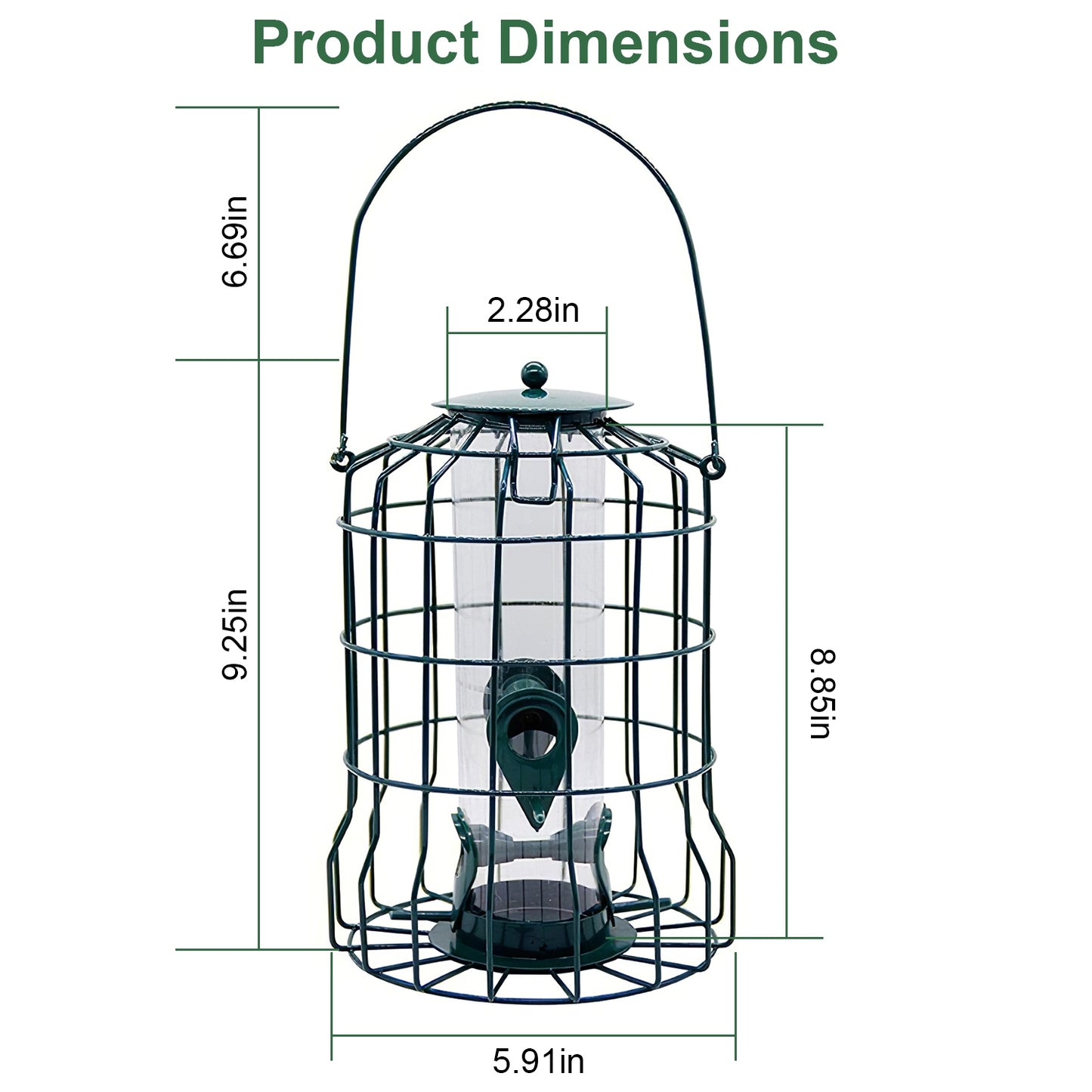 Aura Squirrel-Proof Bird Feeder