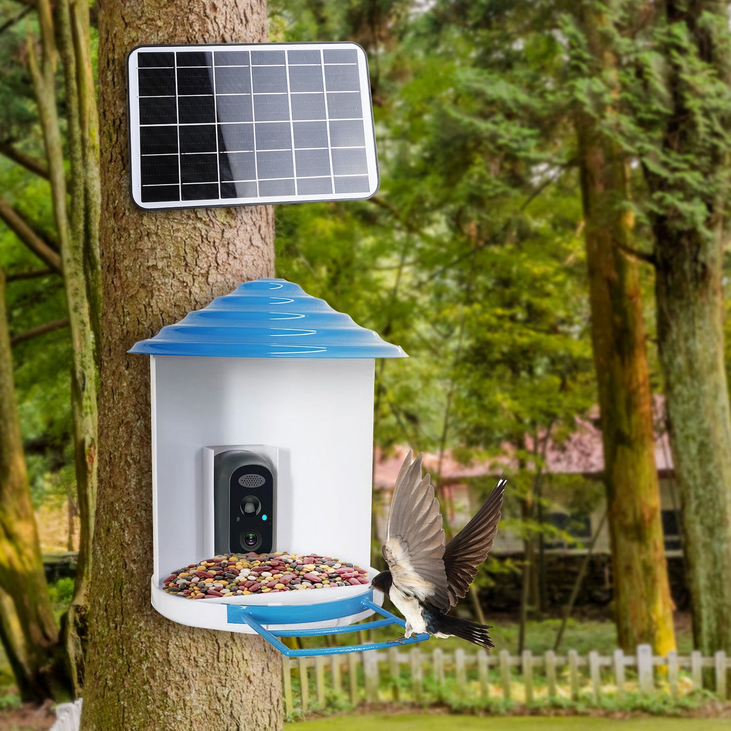 Aura Smart Bird Feeder