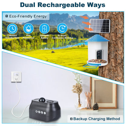 Aura Smart Bird Feeder