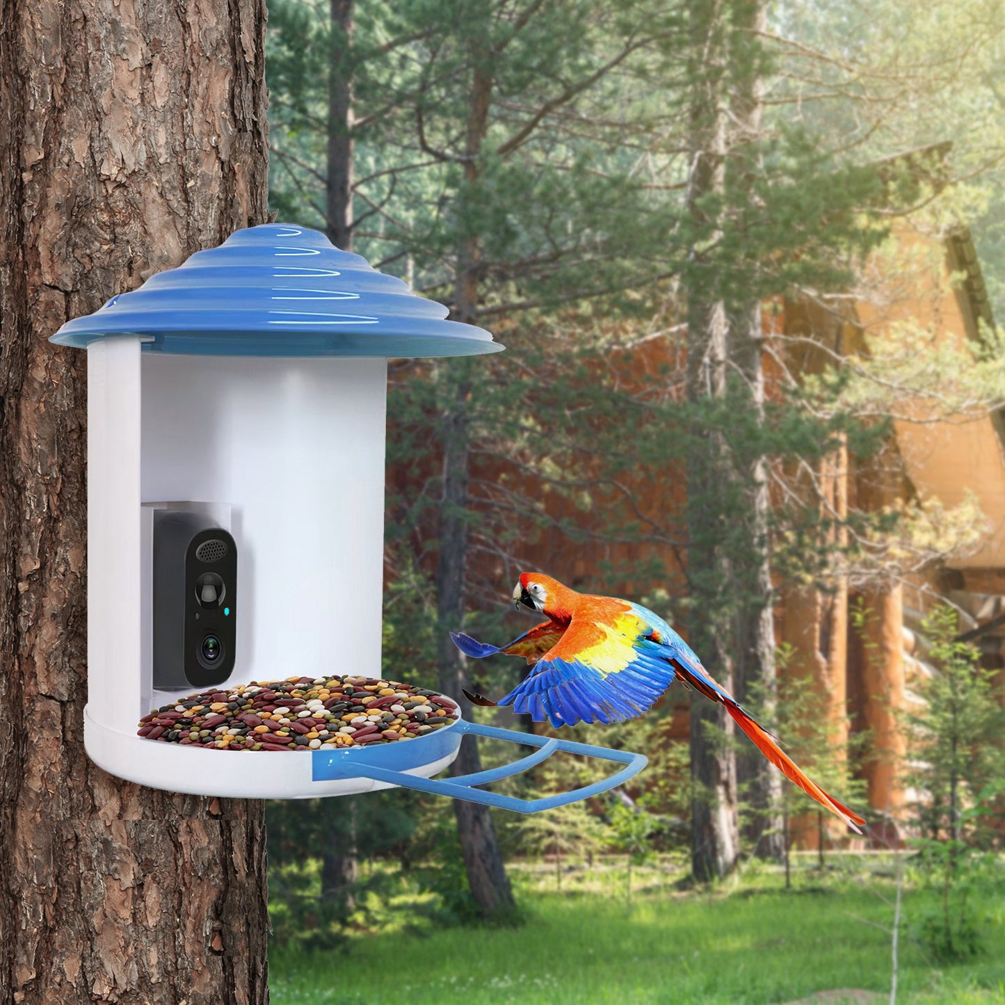 Aura Smart Bird Feeder
