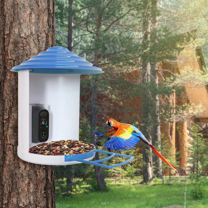 Aura Smart Bird Feeder