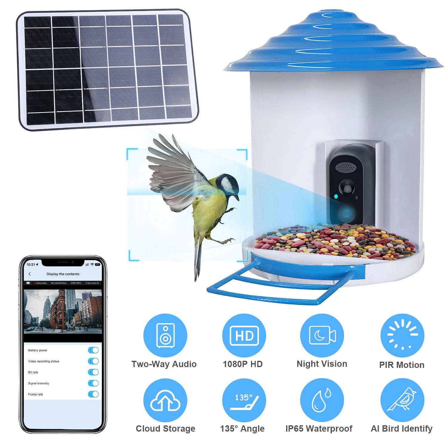 Aura Smart Bird Feeder