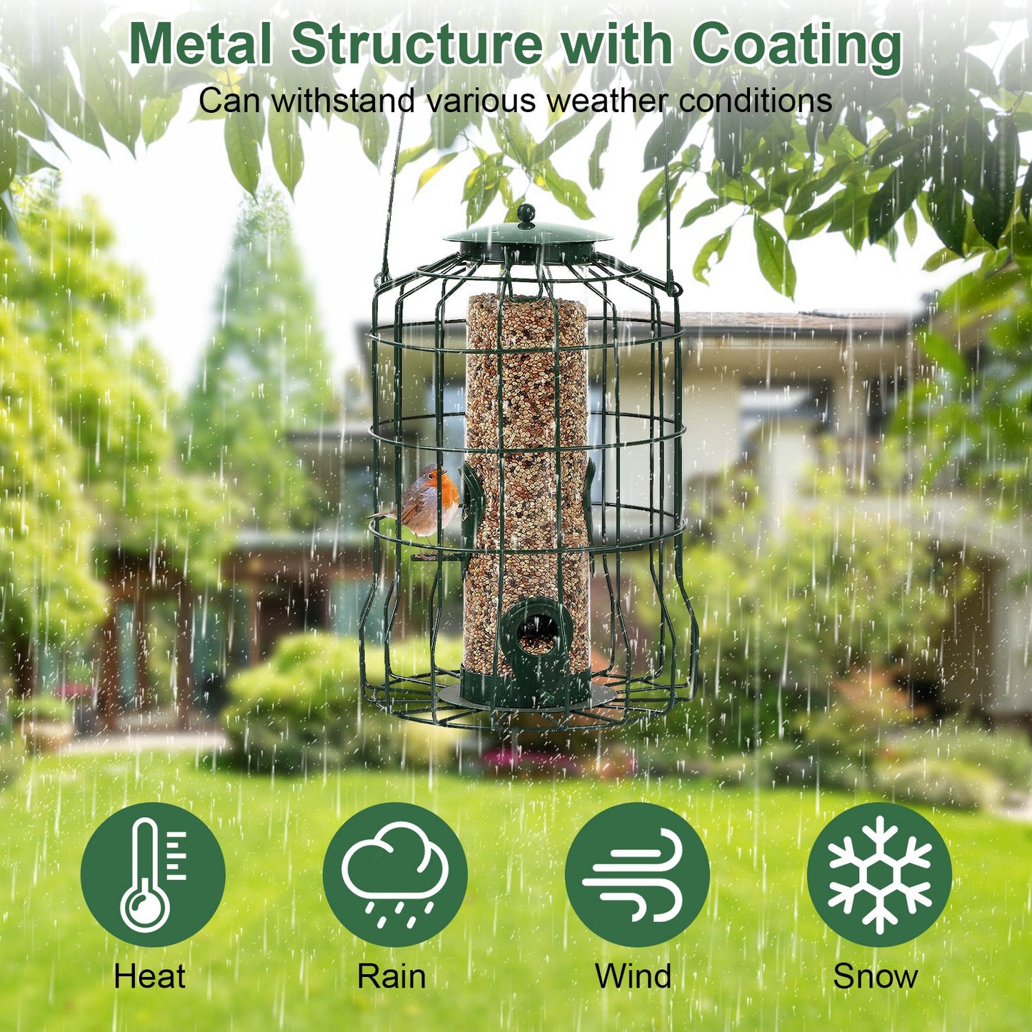 Aura Squirrel-Proof Bird Feeder