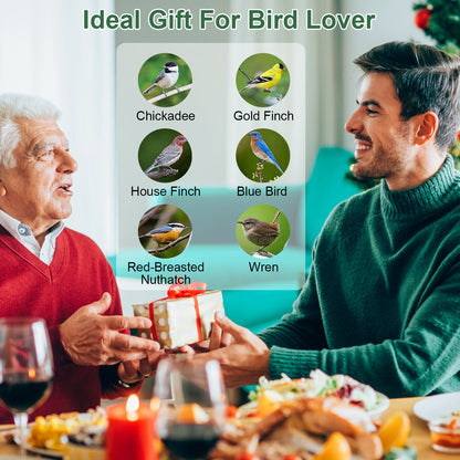 Aura Squirrel-Proof Bird Feeder