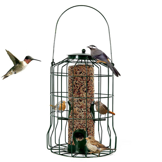 Aura Squirrel-Proof Bird Feeder