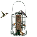 Aura Squirrel-Proof Bird Feeder