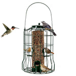 Aura Squirrel-Proof Bird Feeder
