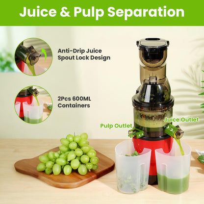 Aura Cold Press Juicer