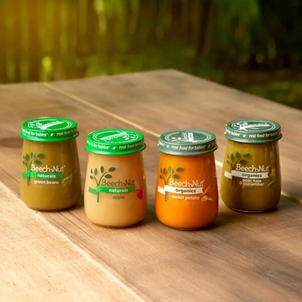 Beech-Nut Organics Stage 1 Organic Baby Food, Pumpkin, 4 oz Jar - Image 3